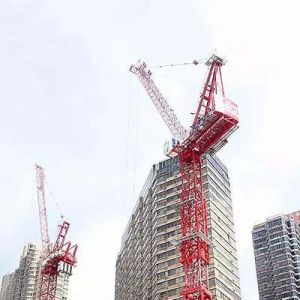 Ӣ���mMantis Cranes�Ƶ���ò�̹���ؙC(j��)���I(y��)