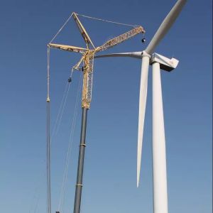 ��������������r(sh��)���ؙC(j��)�а���Dufour�����˵�100�_(t��i)LTM 1750-9.1