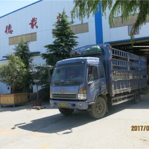 2017010123 ����� �քӆ������ؙCSLD2-8 2017-4-18