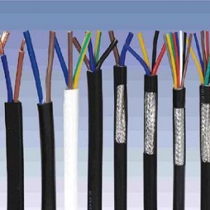 ������|����|���N��е�һ�N��ʲô�ǿ�����|��