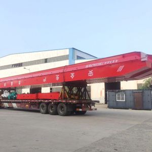 2021330559-LD20t-22.5m H=9m A3늄ӆ������ؙC